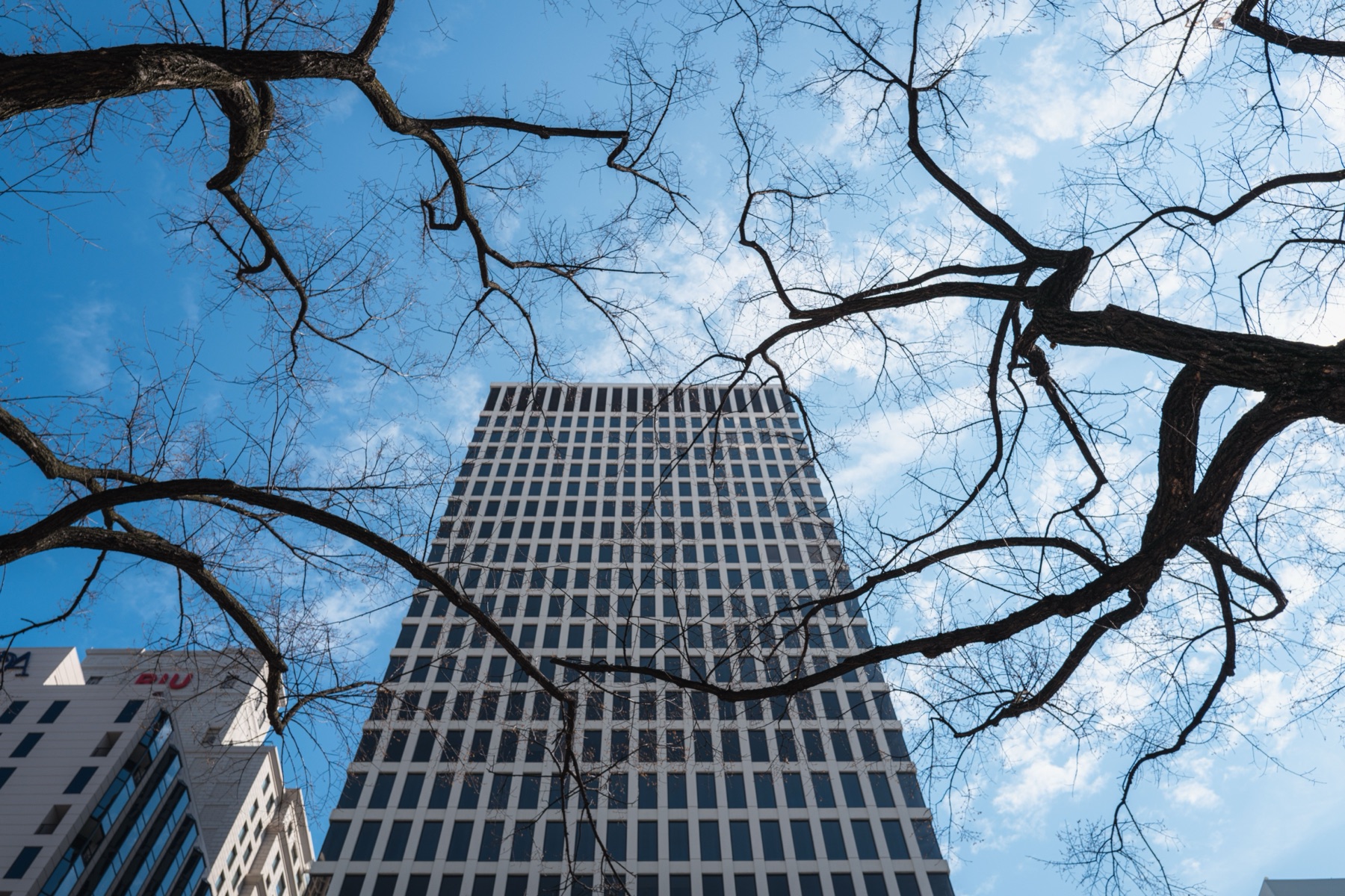 Corporate office tower framed by tree branches, representing enterprise ESG operations