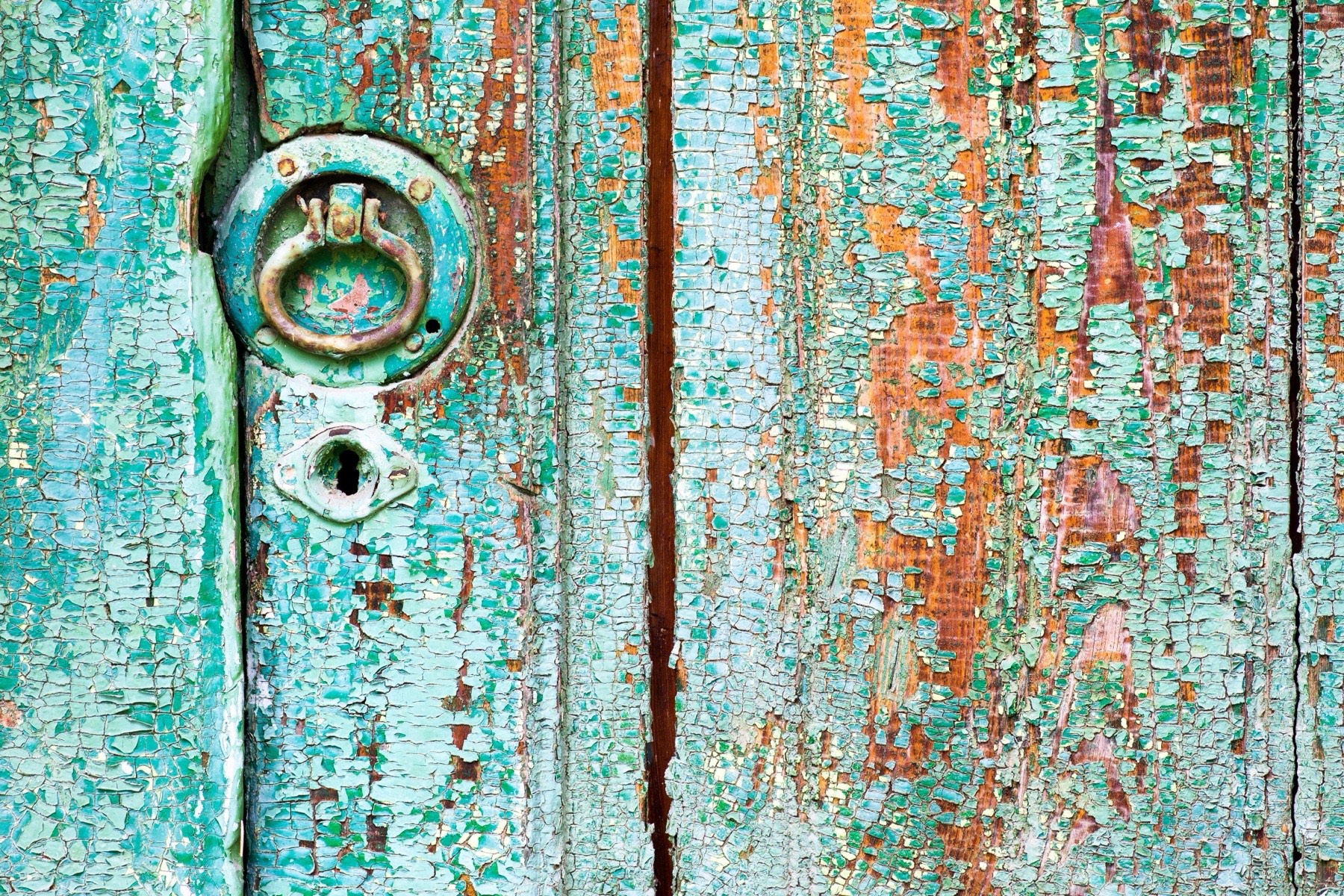 Peeling green paint on a weathered door, representing environmental claims that do not hold up